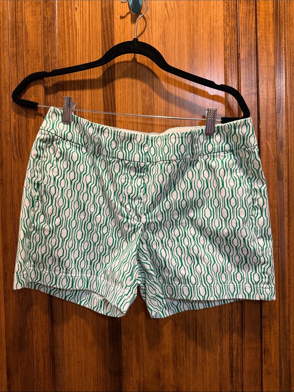 Ann Taylor White and Green Geometric Print Shorts